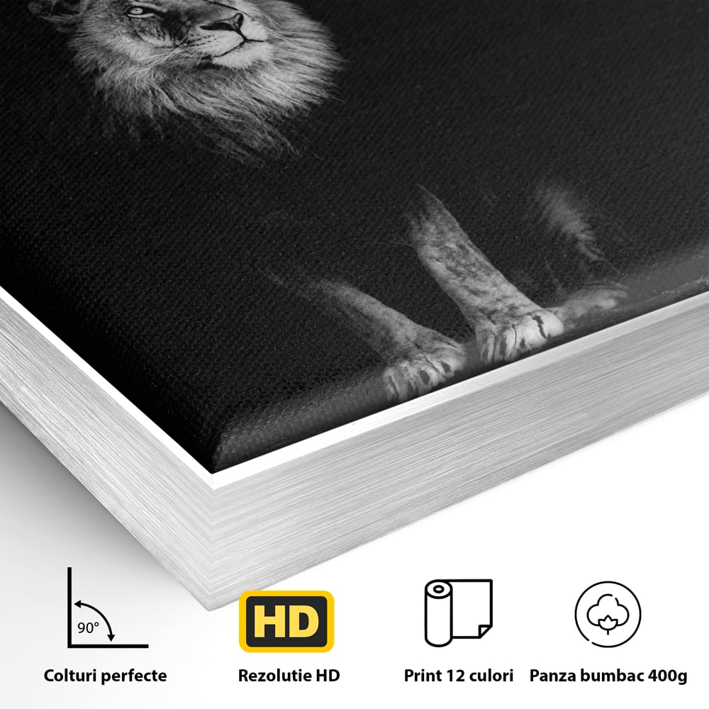 Detaliu al suprafetei: tablou canvas cu leu alb-negru, in rama de aluminiu argintiu